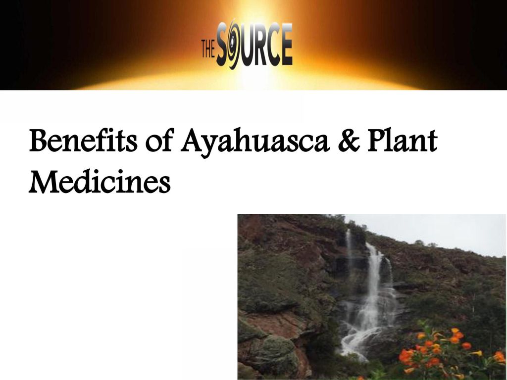 Ayahuasca Retreat That Very Usefull For Various Case