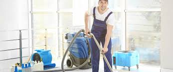 Which Carpet Cleaner Is Best? With Carpet Cleaning North Shore, Choose Quality Rather Than Price!