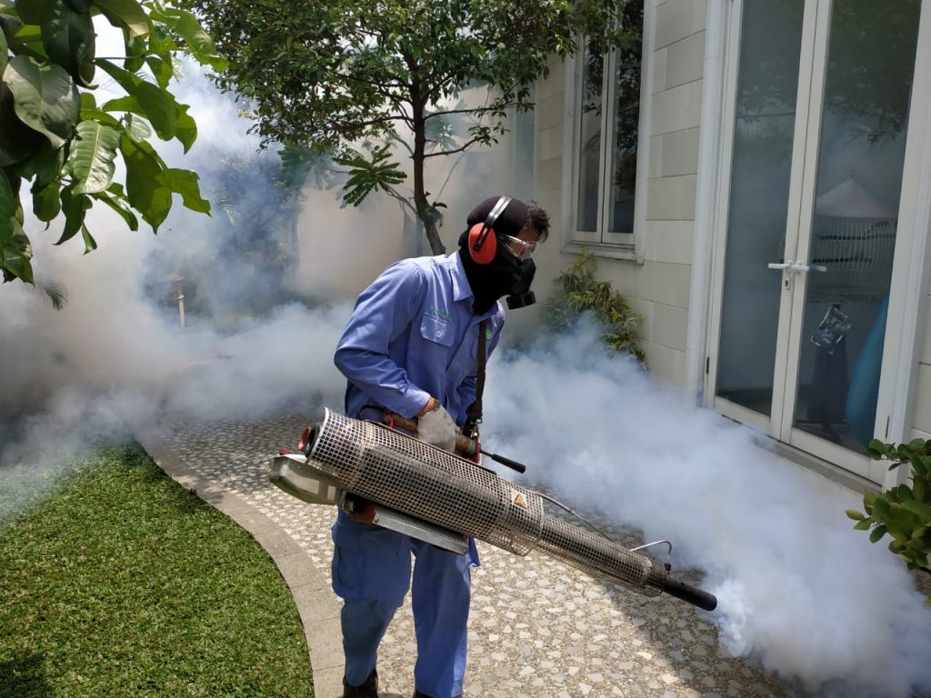 Unwanted Visitors, Ants, and Bugs: Brownsville Pest Control
